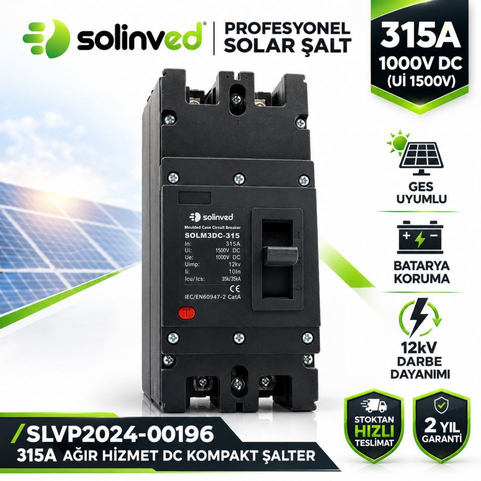 Solinved 315A DC Şalter